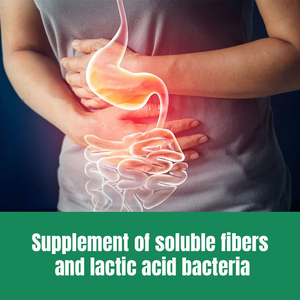 Proflora Fiber Sachets, Pack of 30's