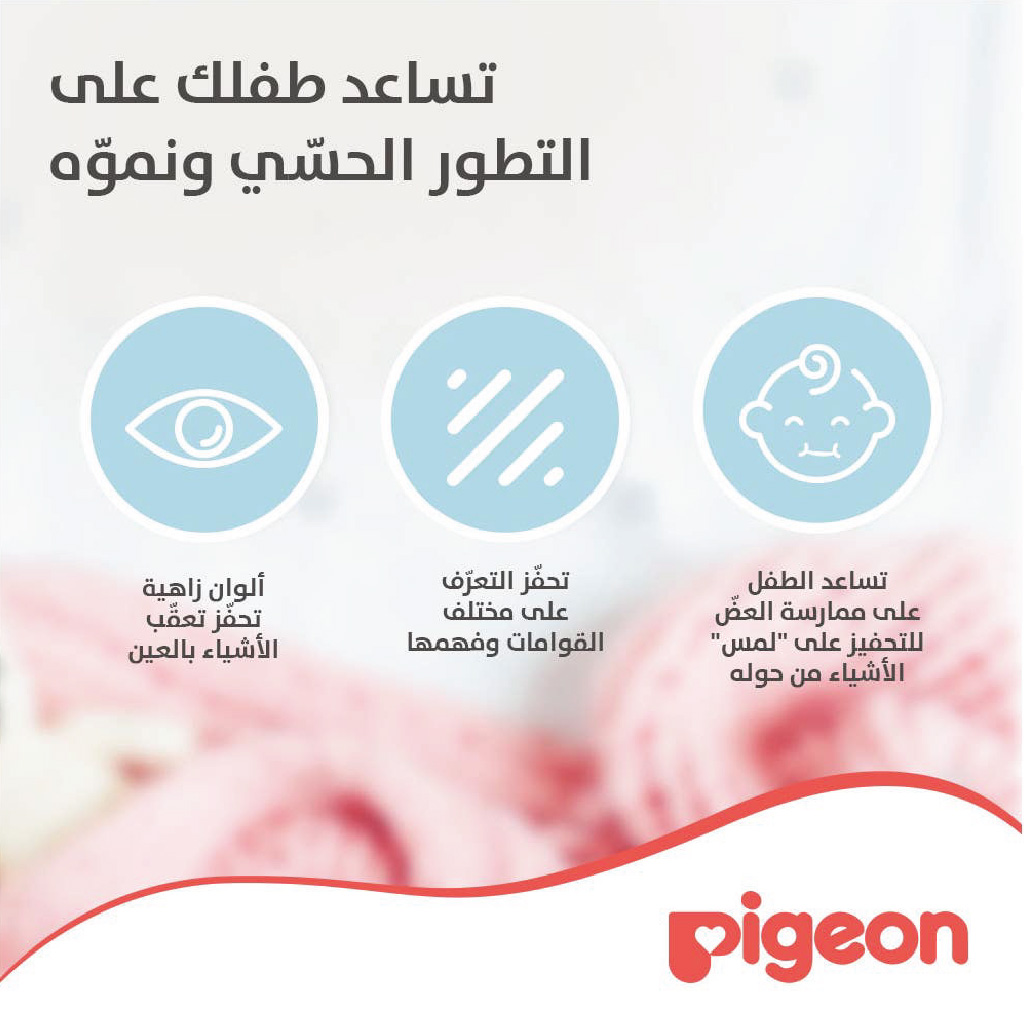 Pigeon Cooling Teether Triangle 13622