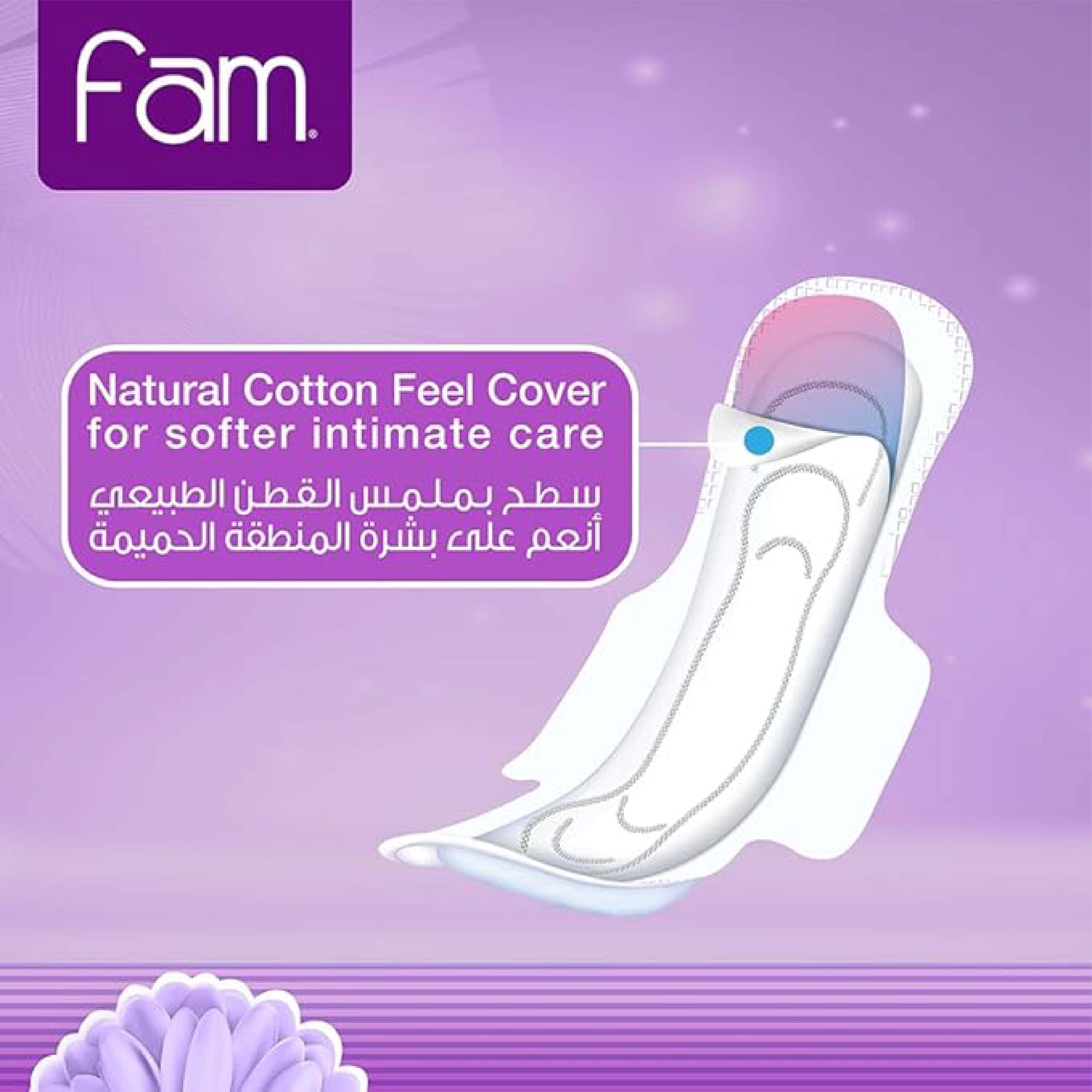 Fam, Trifold Normal Sanitary Pads, Regular absorbency sanitary pads for daily use