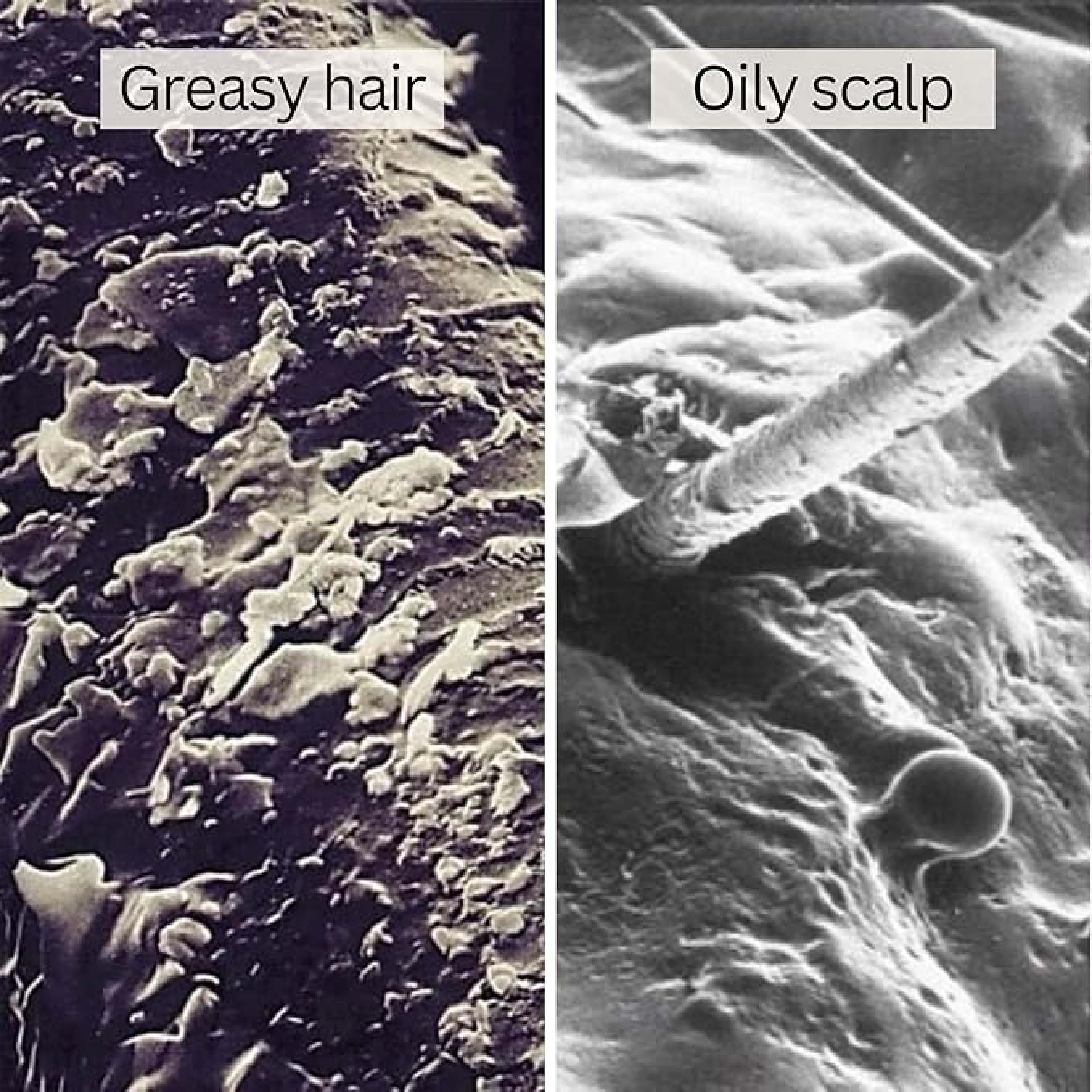 Rausch Shampoo Degreasing Seaweed 200 ml