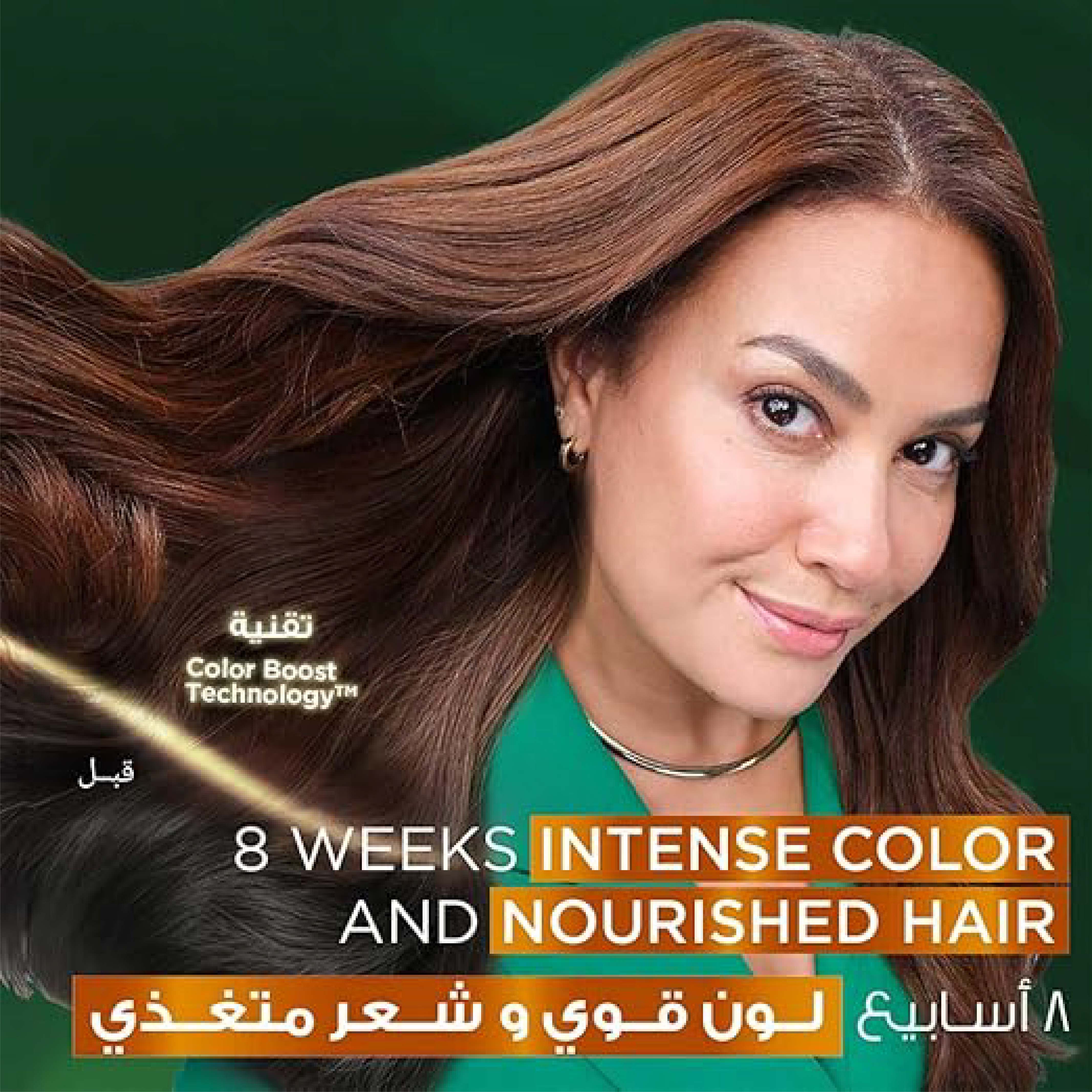 Garnier Color Naturals 6.34 Chocolate