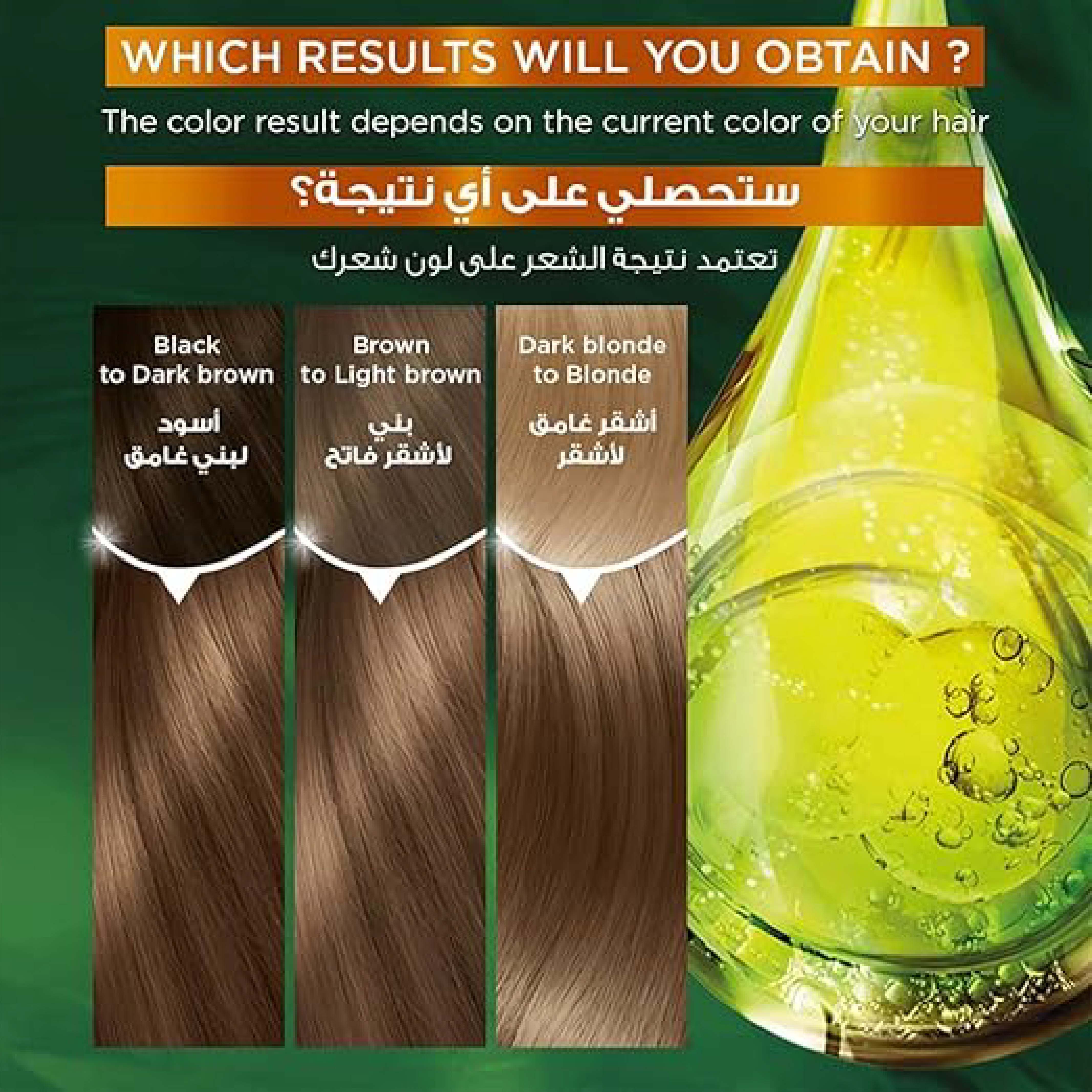 Garnier Color Naturals 6.34 Chocolate