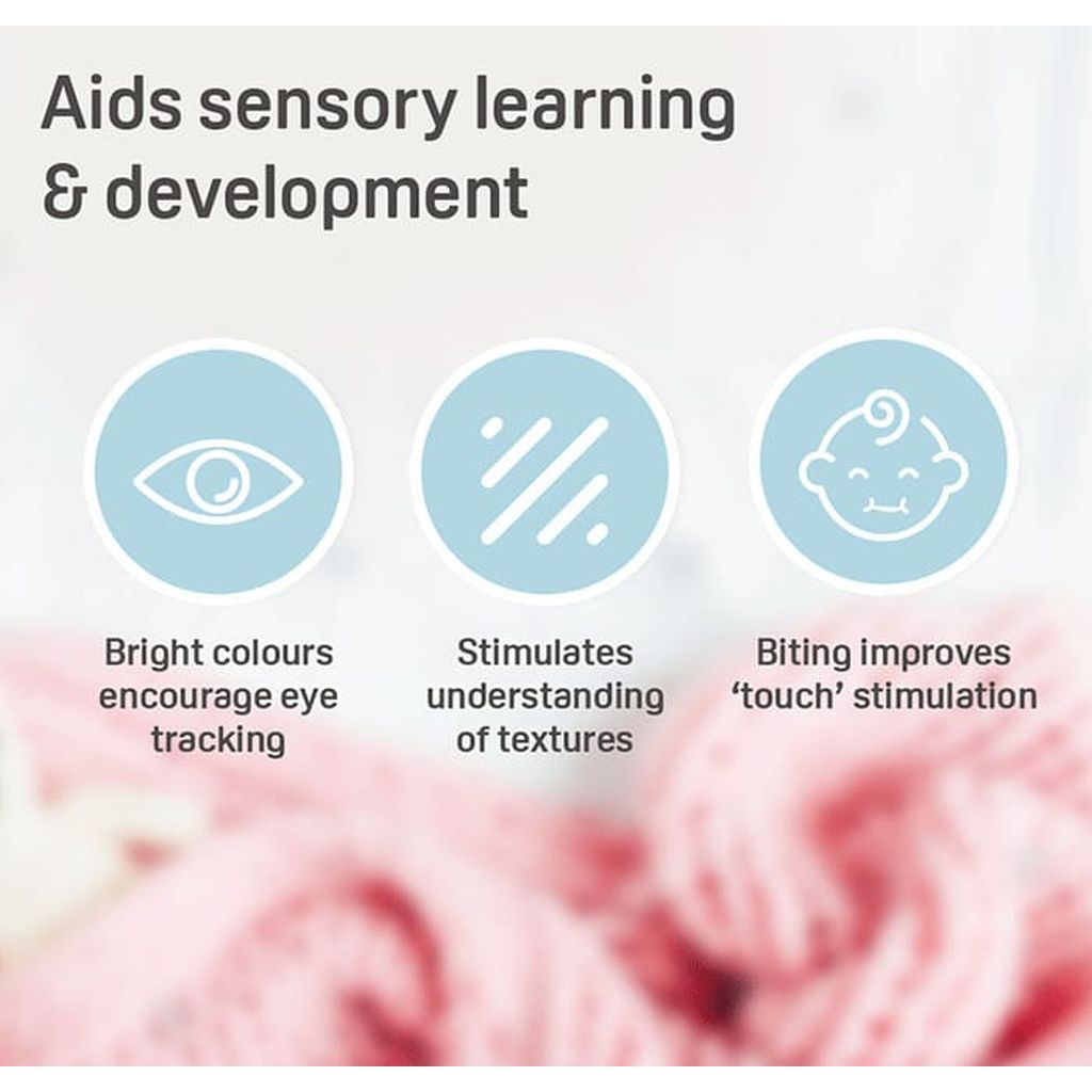 Pigeon Cooling Teether, Strawberry, 4+ Months