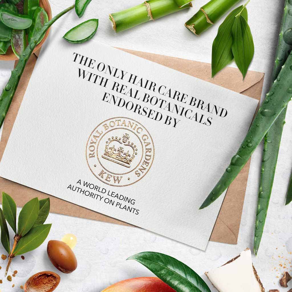 Herbalaloe, Bamboo shampoo, Herbal shampoo with aloe and bamboo extracts, 6400ml