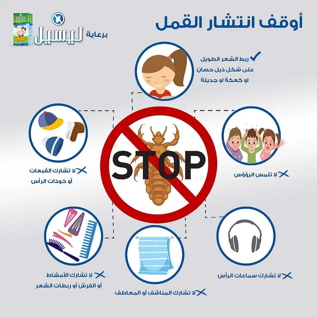 ليسيل بلس، شامبو فعال لإزالة القمل والعناية بفروة الرأس، أنتي-لايس إليمنيتينغ آند ريكوفيرينغ شامبو