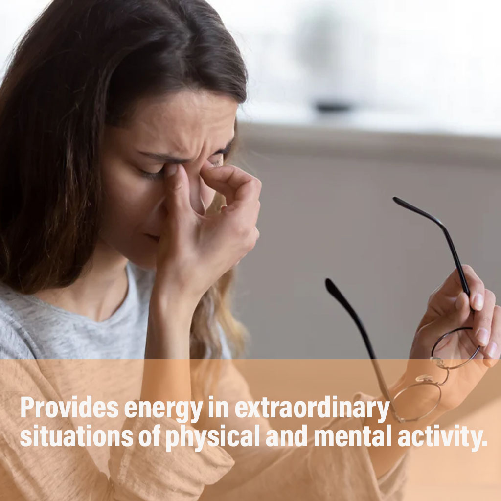 Marnys, Royal Jelly 1000 mg Capsules, Natural energy and immune support capsules, 30 capsules