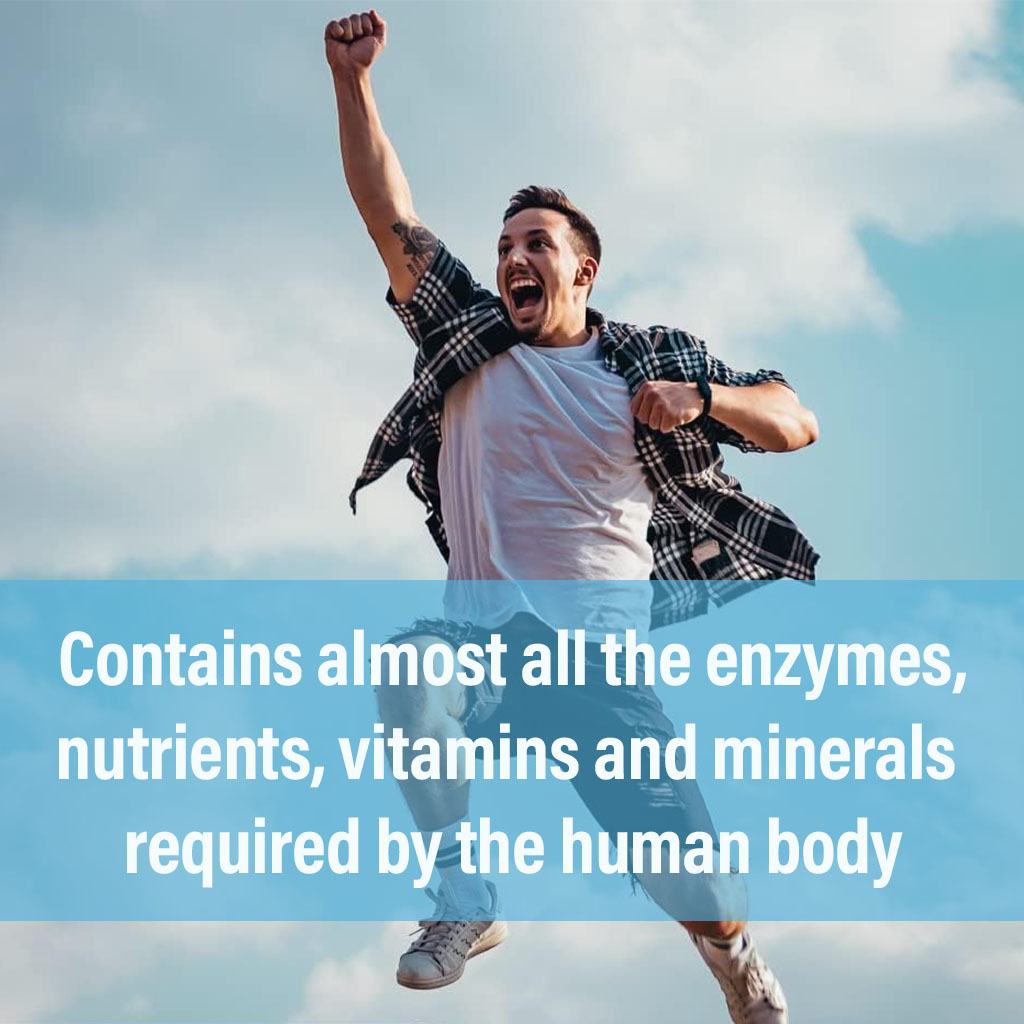 Marnys, Royal Jelly 1000 mg Capsules, Natural energy and immune support capsules, 30 capsules