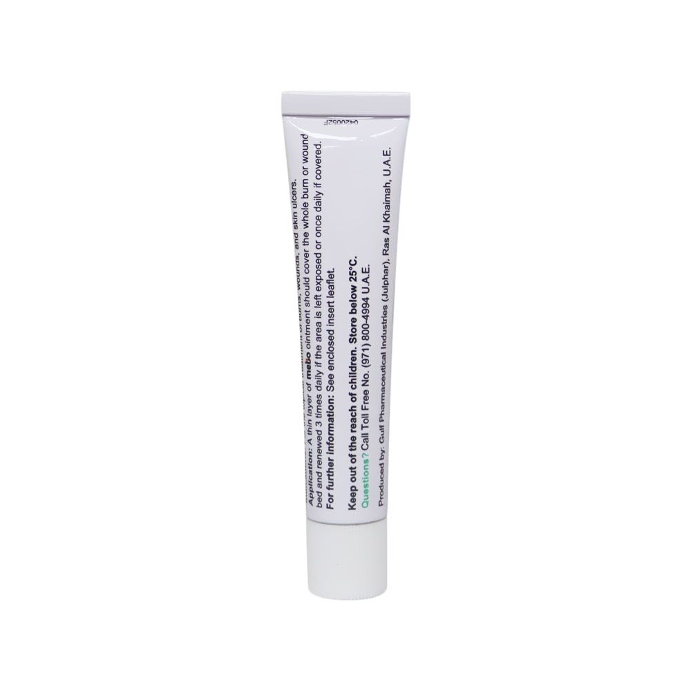 Mebo 0.25% Ointment 15g