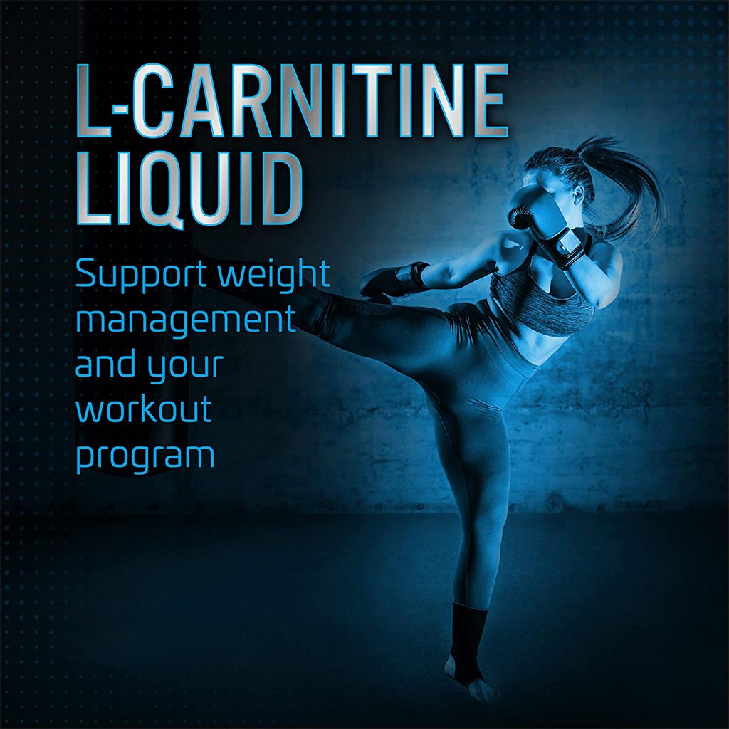 Basix, L-Carnitine 3500 & Green Tea Liquid, Fruit punch flavor endurance support drink, 480 ml