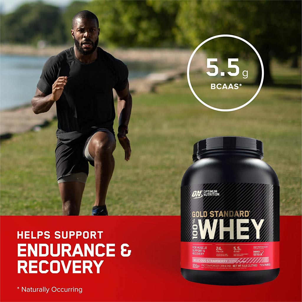 Optimum Nutrition Gold Standard 100% Whey Protein Powder -  Delicious Strawberry 5lb