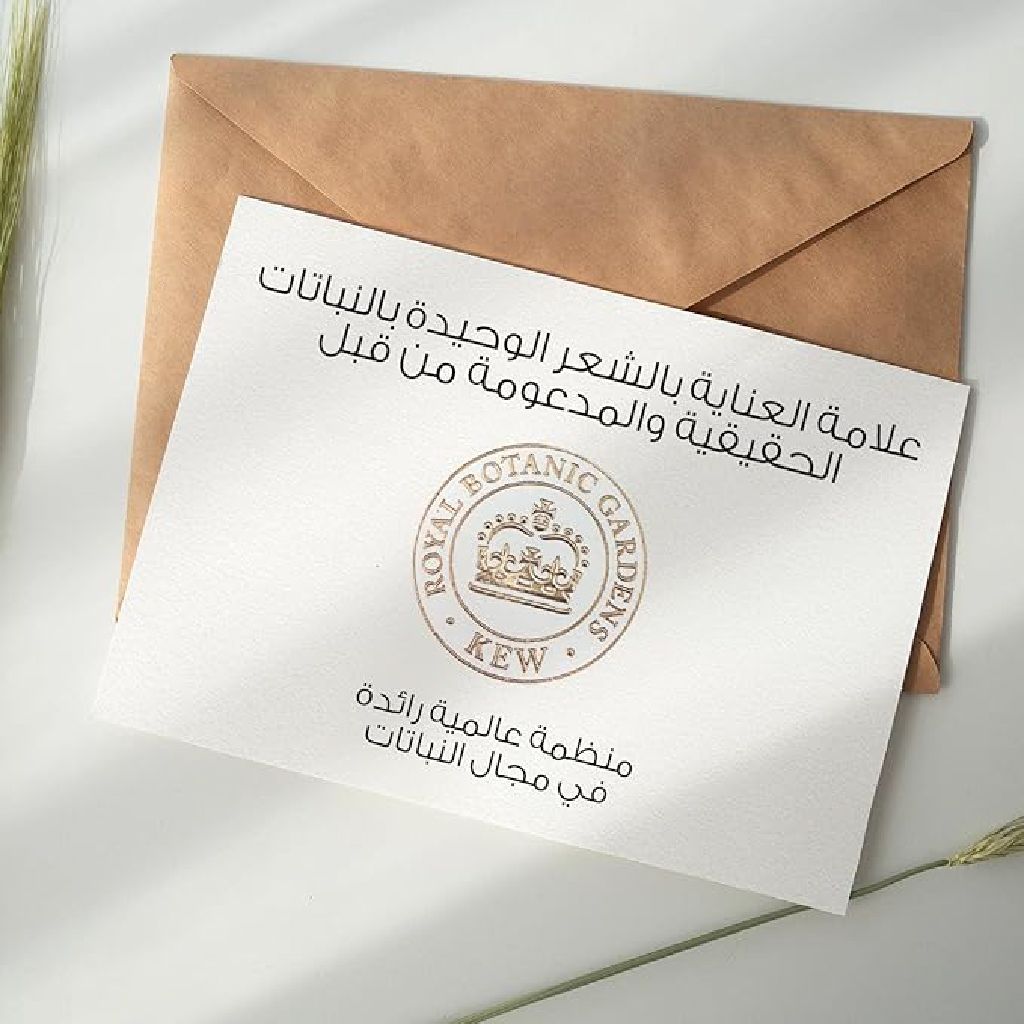 حليب جوز الهند العشبي – 400 مل