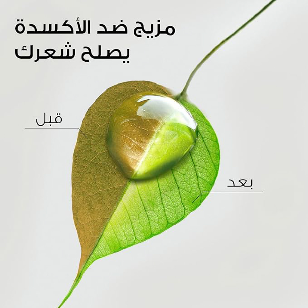 حليب جوز الهند العشبي – 400 مل