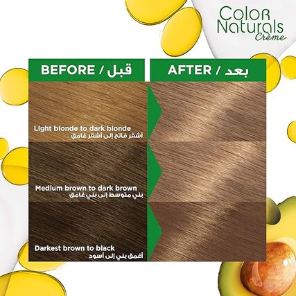 Garnier Color Naturals 811 Light Ash Blonde