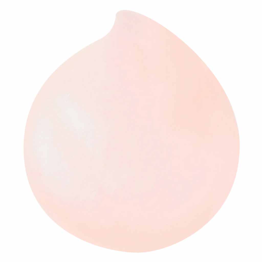 Loreal Paris Elvive Dream Long Straight 72h Oil Replacement Shampoo 300 ml