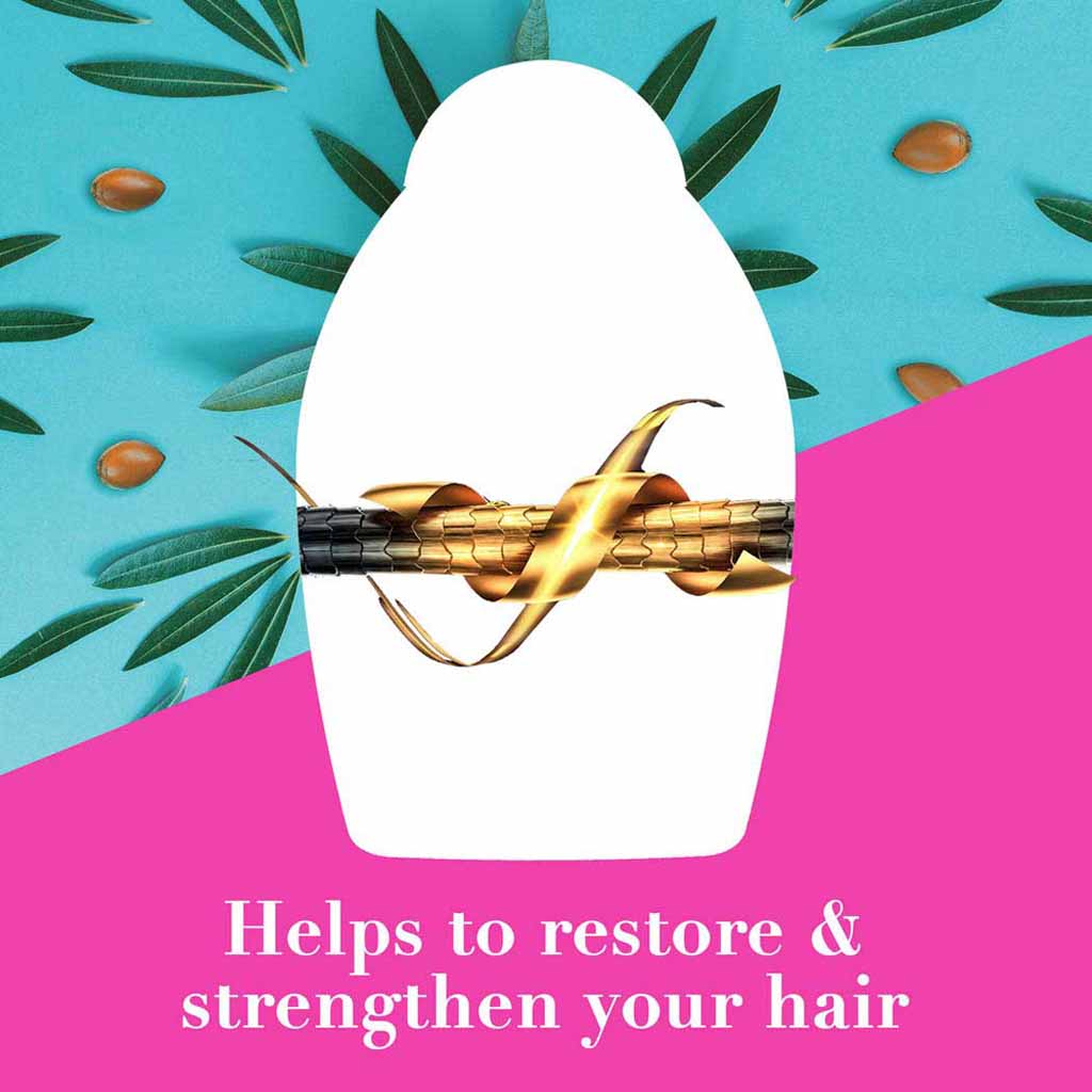 OGX, Hydrate & Revive Argan Oil of Morocco Shampoo, Moisturizing shampoo with argan oil for dry hair, 385ml